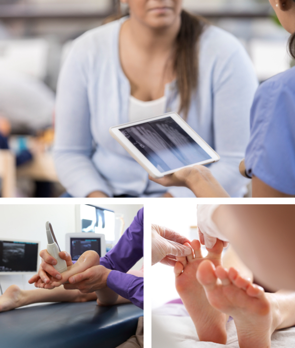 collage of physical therapy